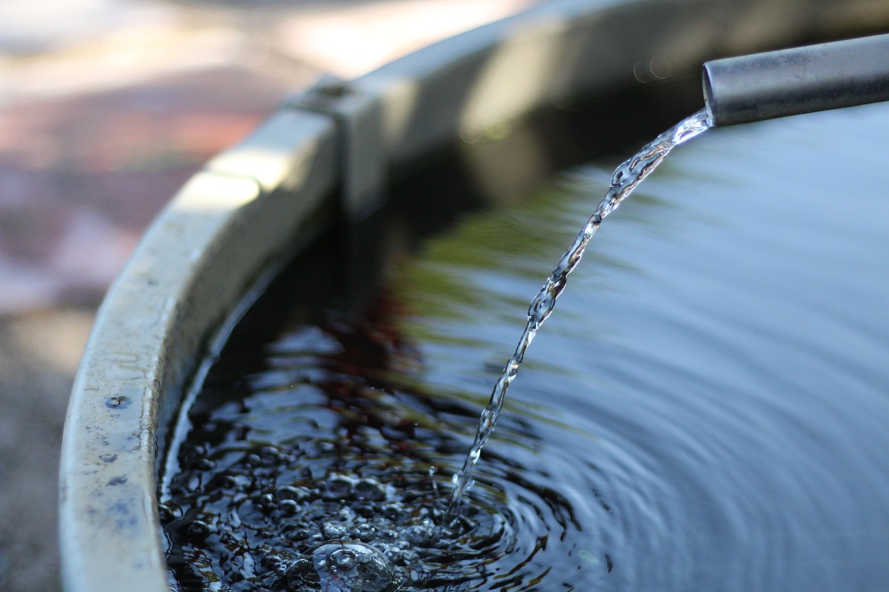 bucket, water, drop-3588739.jpg